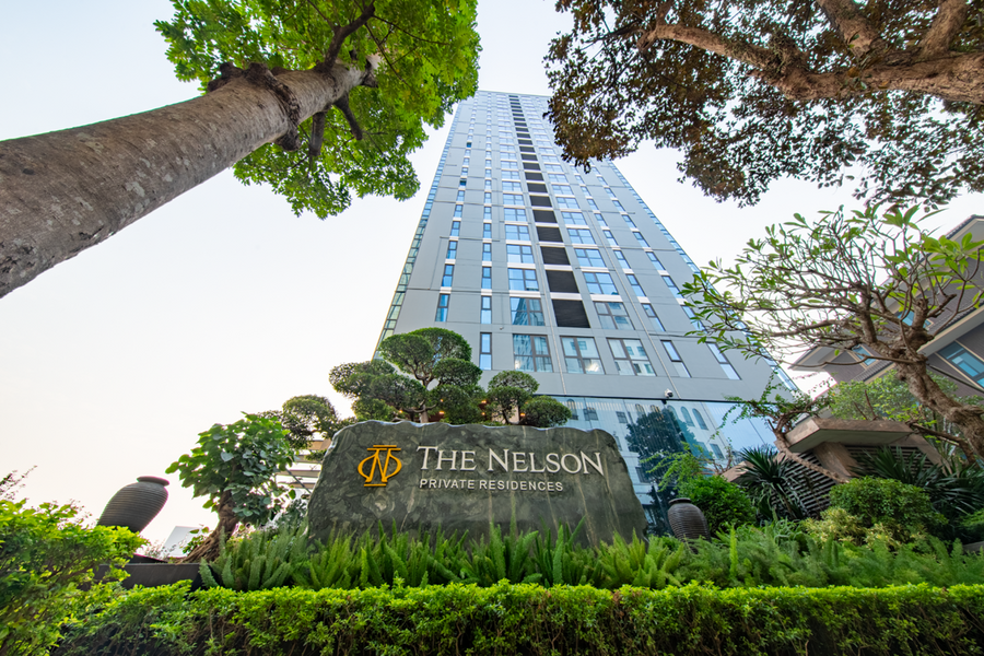 Những lực đẩy hạ tầng giúp The Nelson tăng trưởng không ngừng