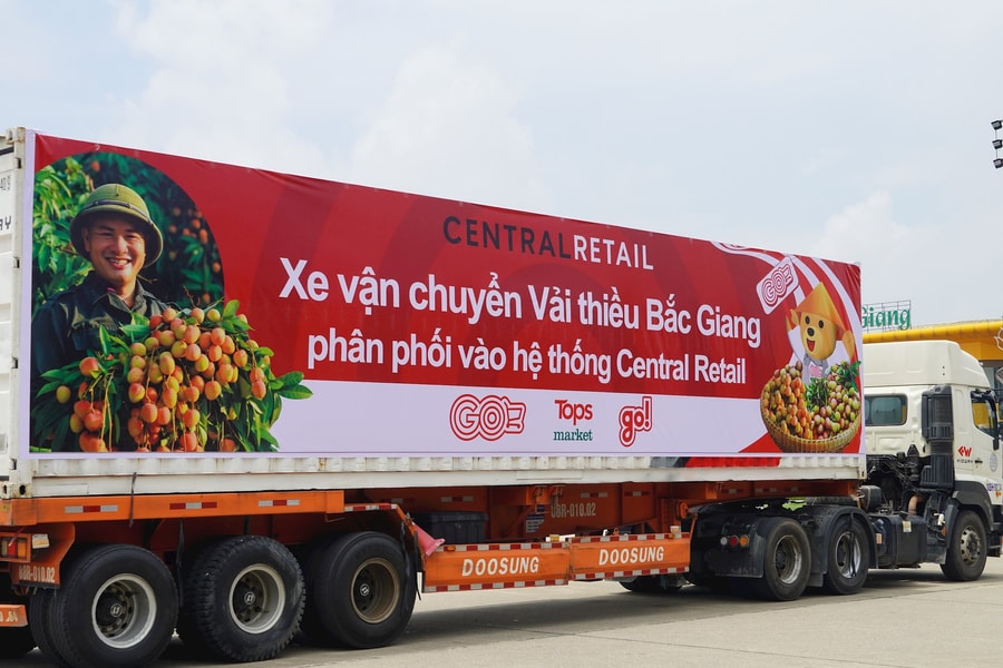 Central Retail hỗ trợ tiêu thụ 1.000 tấn vải thiều Bắc Giang