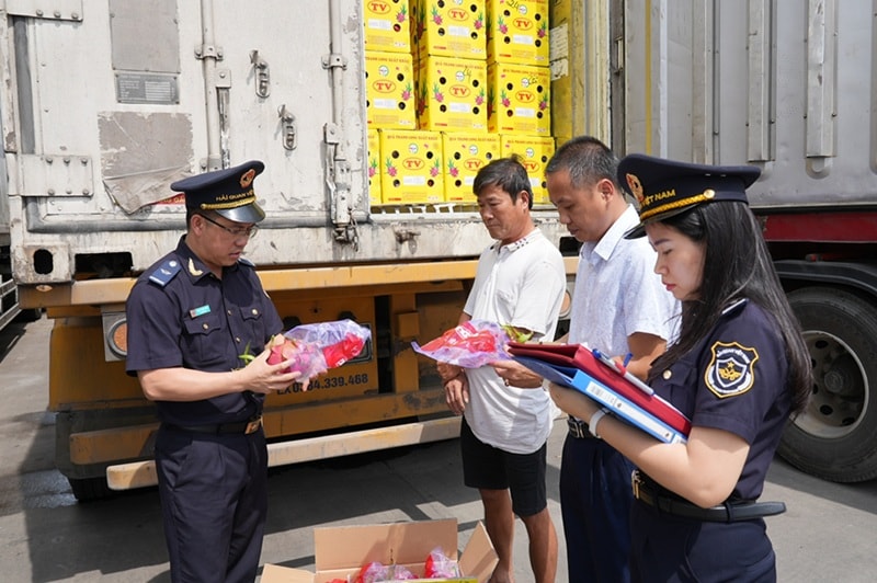 Ưu tiên thông quan ngay đối với hàng nông lâm thủy sản xuất khẩu