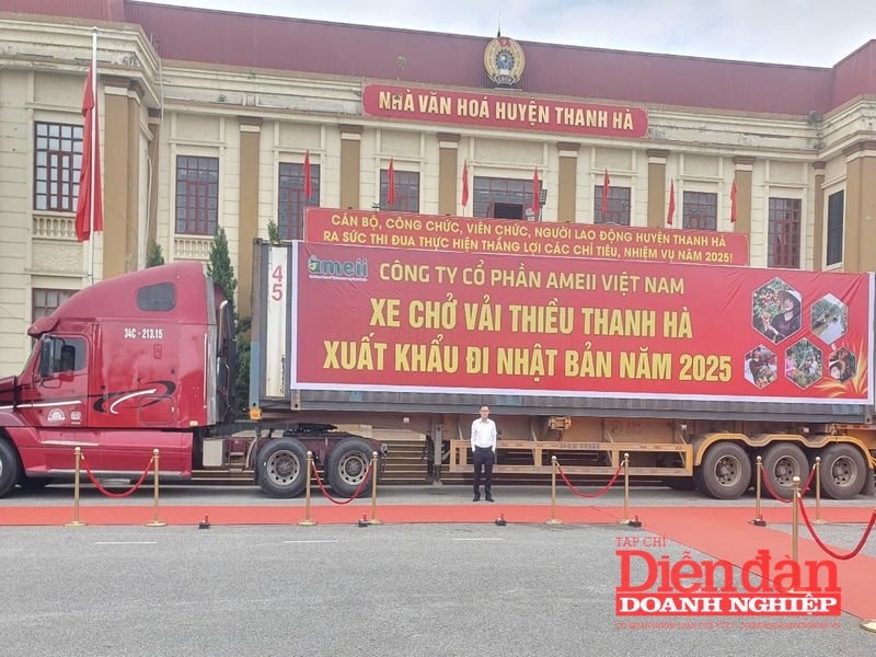 Hải Dương: Xúc tiến thương mại vải thiều năm 2025