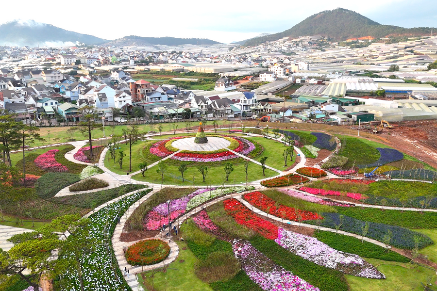 Delight Park: Thiên đường âm thanh, ánh sáng giữa lòng Đà Lạt