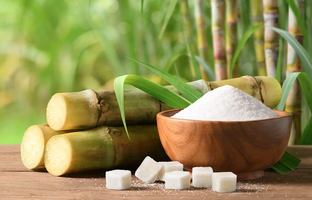 Giá bán giảm, ngành mía đường “bớt ngọt”