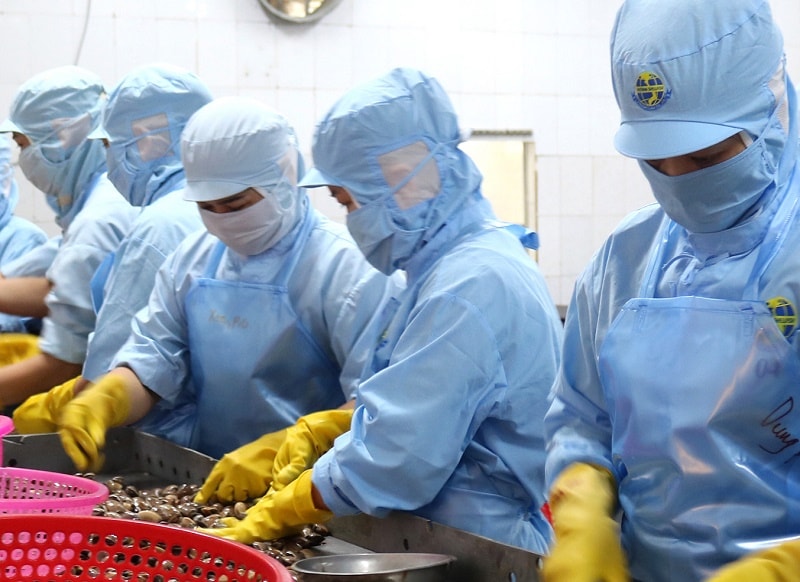 Nâng sức đề kháng cho doanh nghiệp nhỏ và vừa từ nền tảng pháp lý