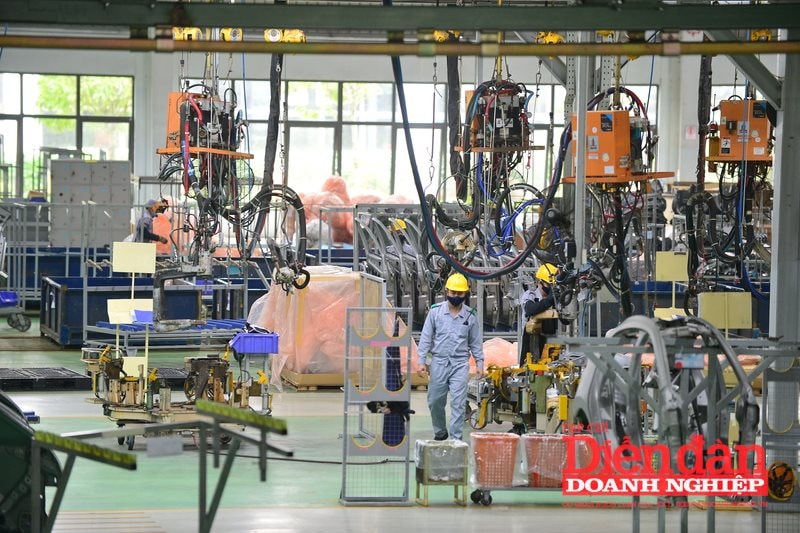 Thúc đẩy hình thành hệ sinh thái doanh nghiệp đa tầng