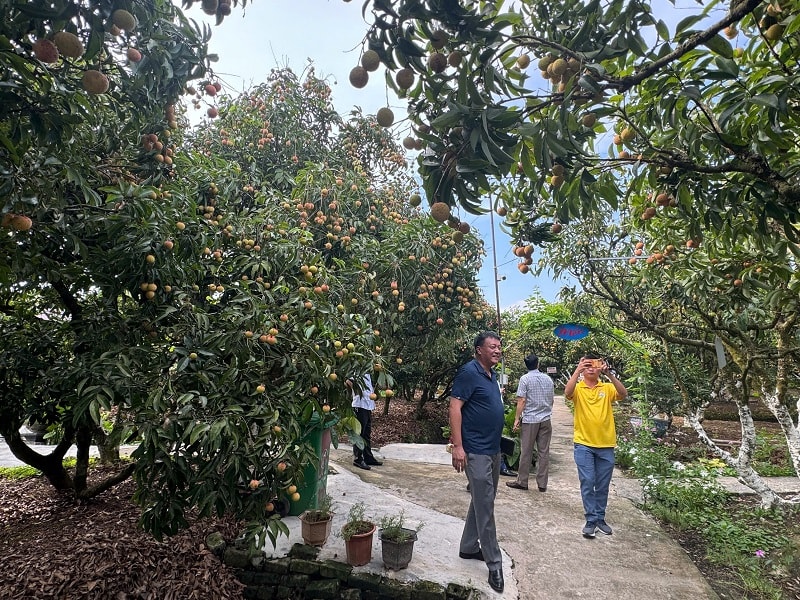 “Biến” lợi thế nông thôn và làng nghề thành sản phẩm du lịch