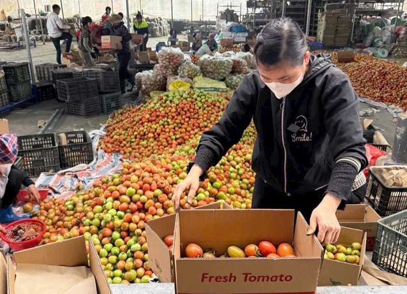 Chiến lược phát triển bền vững của Hải Dương