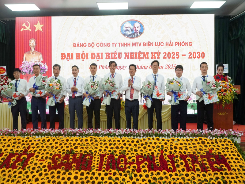 Công ty TNHH MTV Điện lực Hải Phòng: Đại hội Đảng bộ - vì một ngành điện phát triển, vì một Hải Phòng tỏa sáng tương lai
