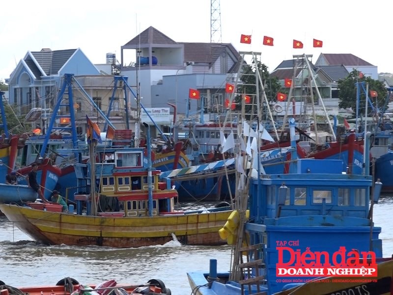 Bình Thuận: Chủ động phòng, chống khai thác IUU trong quá trình sắp xếp chính quyền 2 cấp