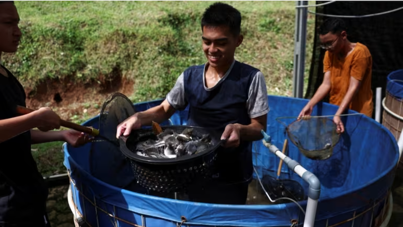 Hướng đi mới cho phát triển bền vững ở Đông Nam Á