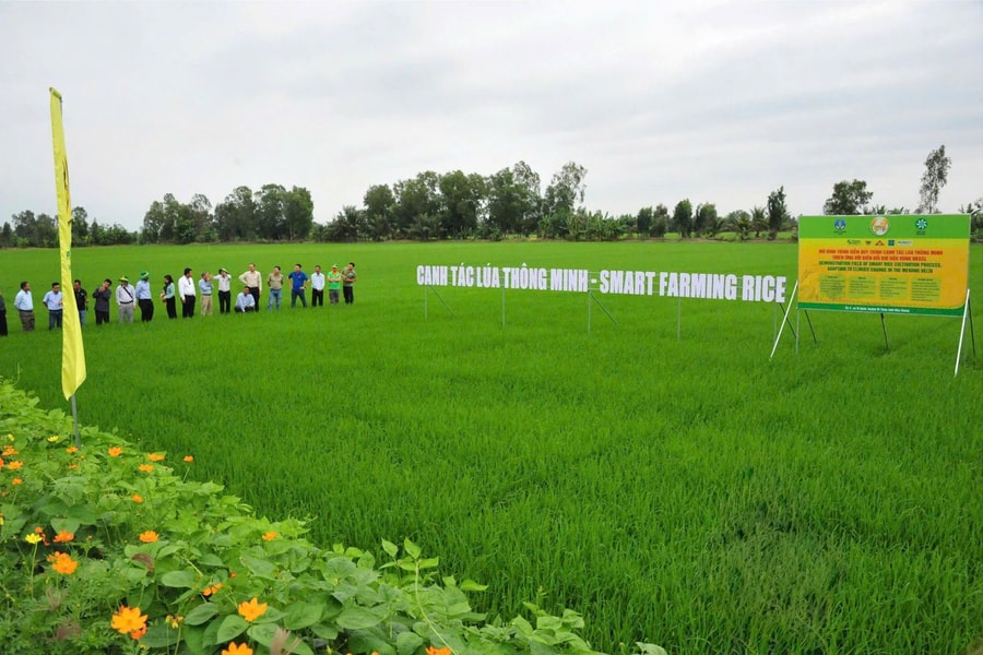 Doanh nghiệp phân bón và hành trình chuyển đổi theo Nghị quyết 57