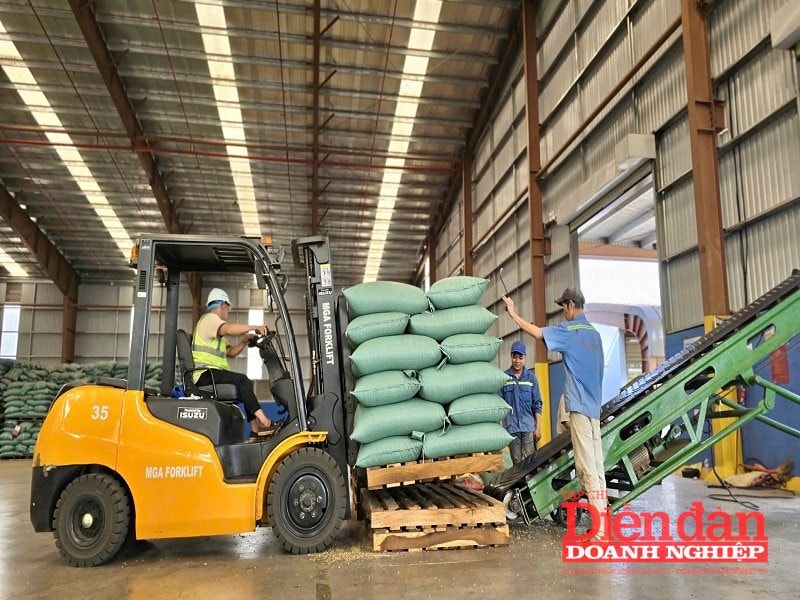 Gia Lai tăng cường quỹ đất công nghiệp để thu hút đầu tư