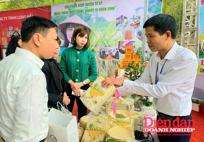 Kết nối chuỗi giá trị: Vai trò của doanh nghiệp tư nhân trong liên kết với doanh nghiệp nhà nước và FDI