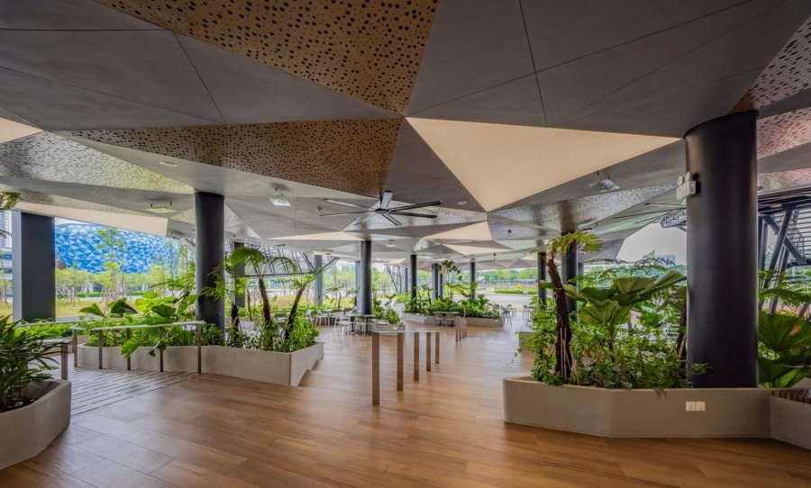 “Xanh hóa” đại học: Tại sao nhiều trường vẫn ngại bước chân vào công cuộc chuyển đổi tốn kém?