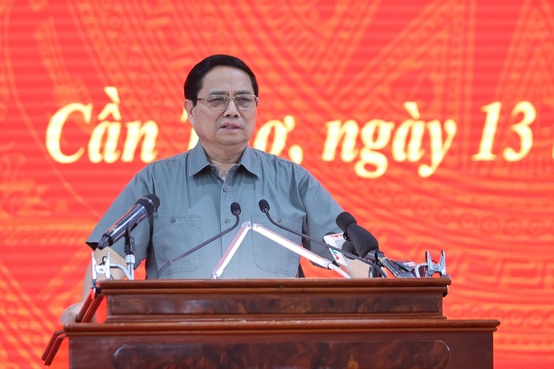 Đề án 1 triệu ha lúa chất lượng cao: Bước đi chiến lược nâng tầm gạo Việt