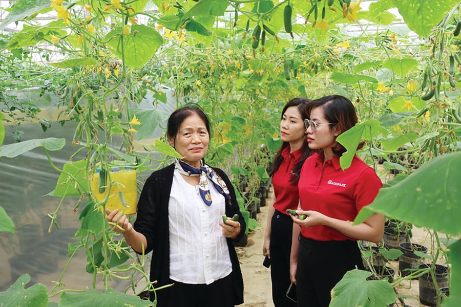 Đón vốn xanh quốc tế: Những "bệ phóng" cho vốn ESG