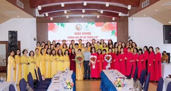 Nữ doanh nhân Gia Lai lớn mạnh hơn sau “sáp nhập”