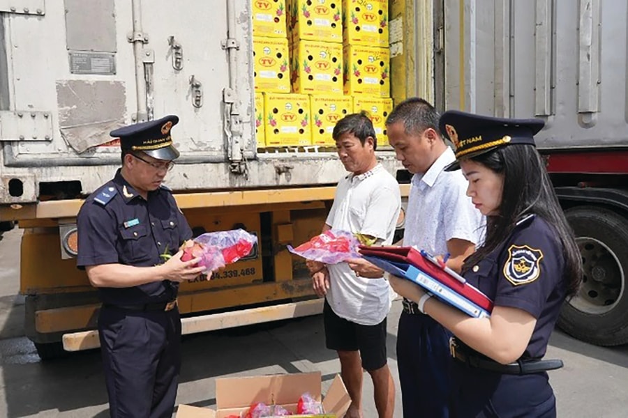 Nâng cao hiệu quả kiểm soát hàng giả “núp bóng” xuất khẩu chính ngạch