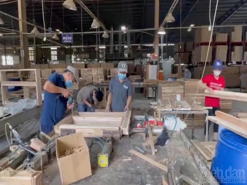 Dấu ấn doanh nhân cựu chiến binh