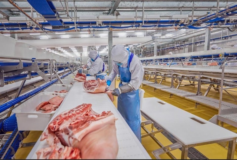 Cổ phiếu chăn nuôi còn dư địa tăng?