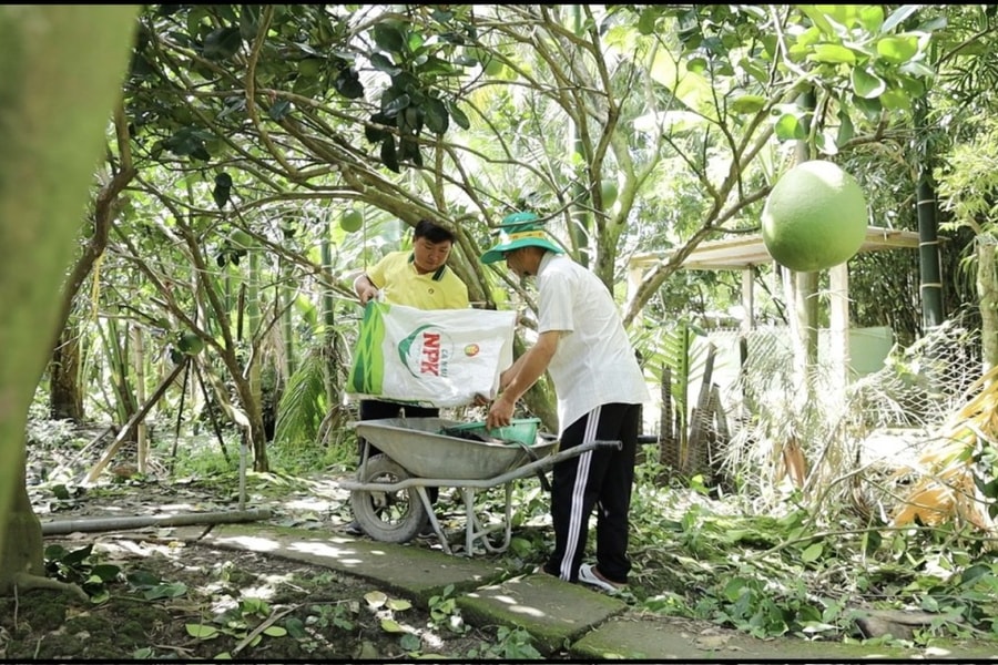 PVCFC (DCM) tăng trưởng bền vững nhờ chiến lược M&A KVF