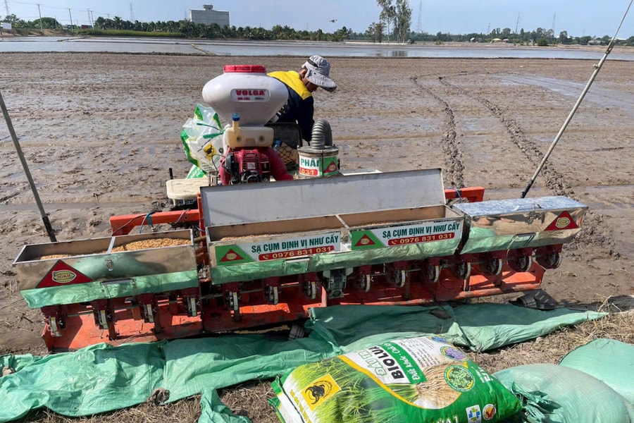 Hướng dẫn sử dụng phân bón Đầu Trâu Bio-Canxi hiệu quả trong sản xuất lúa bền vững