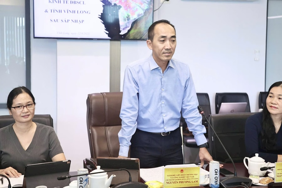 VCCI ĐBSCL đề xuất triển khai các nhóm hoạt động phát triển kinh tế, doanh nghiệp tỉnh Vĩnh Long