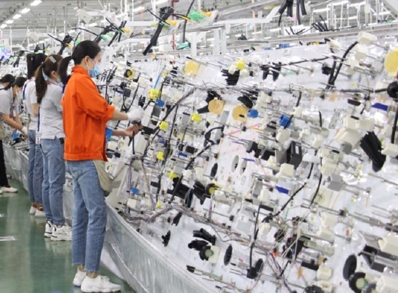 Khoa học công nghệ khơi dậy sức mạnh sáng tạo cho doanh nghiệp