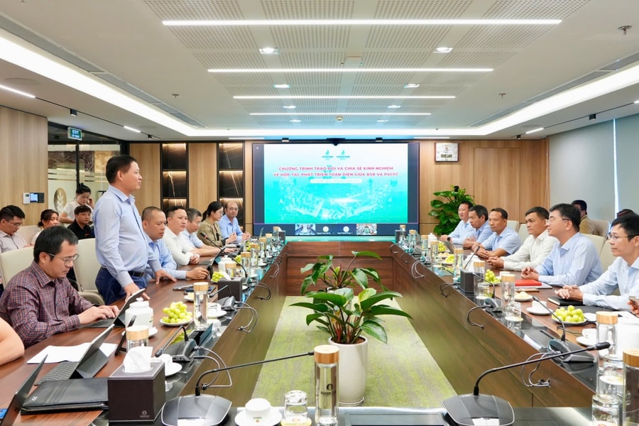 BSR và PVCFC tăng cường hợp tác chiến lược