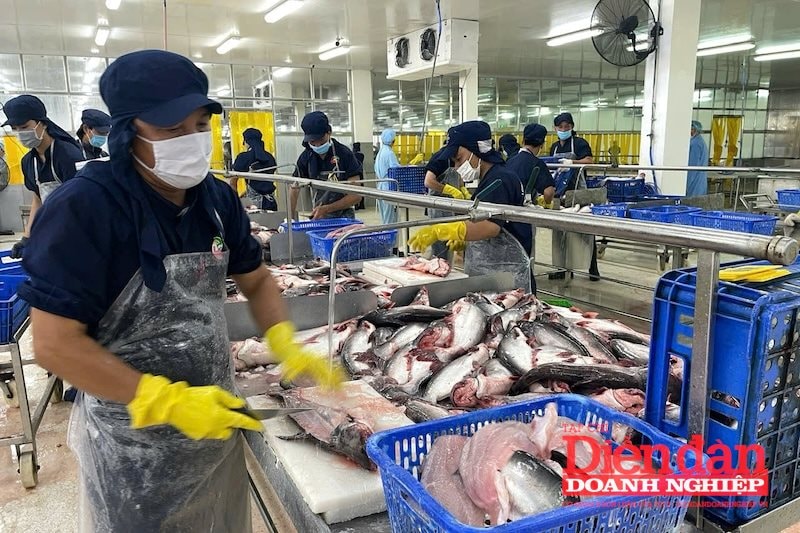 Doanh nghiệp xuất khẩu nông sản tìm đường vượt khó