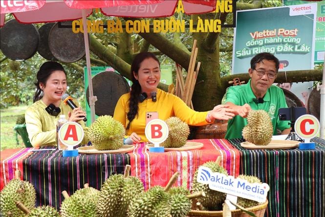 Livestream bán sầu riêng và bài học tổ chức thị trường