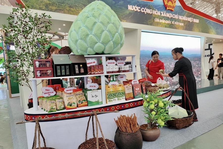 Lạng Sơn tổ chức nhiều hoạt động văn hóa, nghệ thuật đặc sắc mừng đại lễ