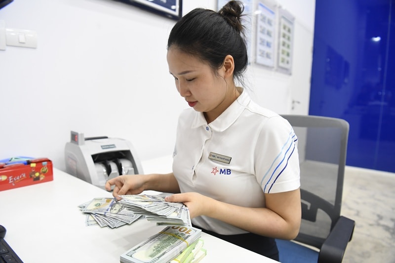 Kỳ vọng găm giữ USD gây áp lực lên tỷ giá