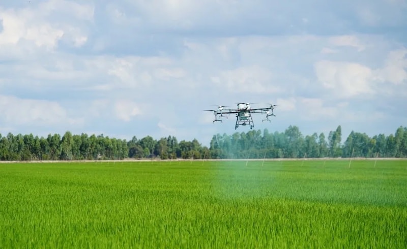 Để "hàng không tầm thấp" - kết nối tầm cao