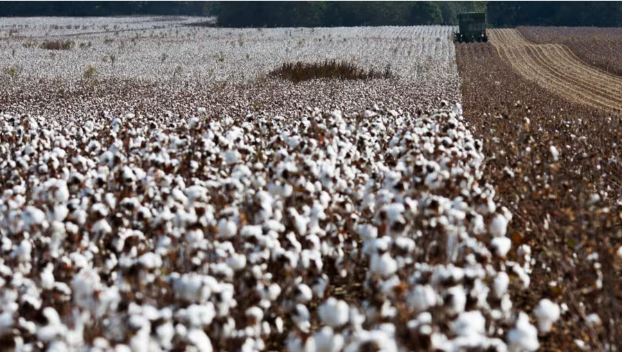 Cuộc chuyển dịch lớn của ngành may mặc toàn cầu