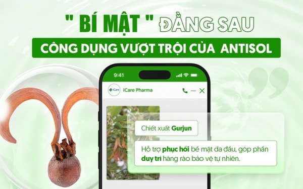 Giải mã sức hút của dầu gội sạch gàu Antisol – Lựa chọn xanh cho mái tóc Việt