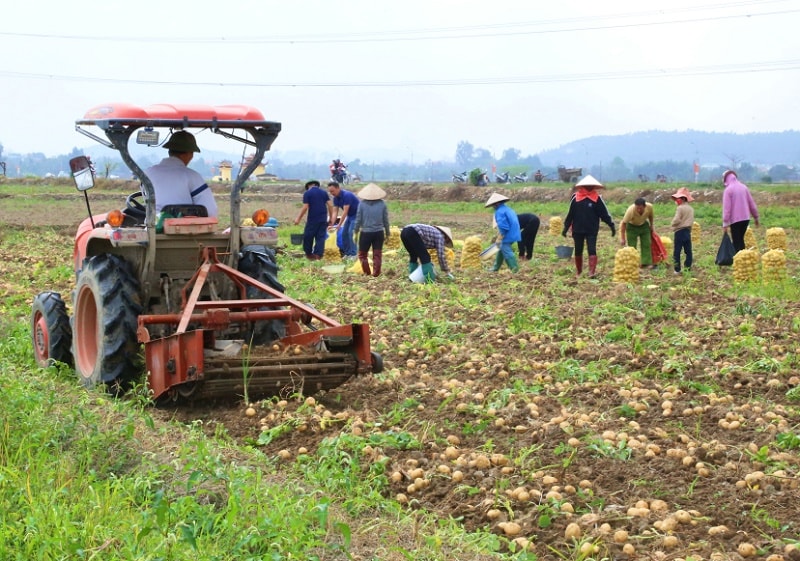 Quảng Ninh đột phá nông nghiệp nhờ cơ giới hóa và chuyển đổi số