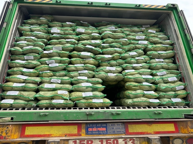 Hải Phòng: Đồng hành tháo gỡ khó khăn cho doanh nghiệp chế biến nông sản