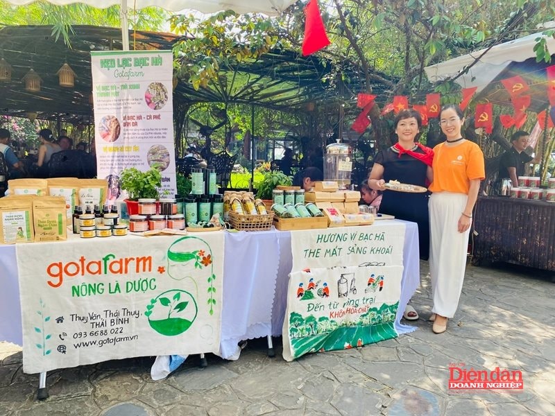 Khởi nghiệp từ cây dược liệu: Nữ giám đốc biến đất hoang thành "đất vàng"