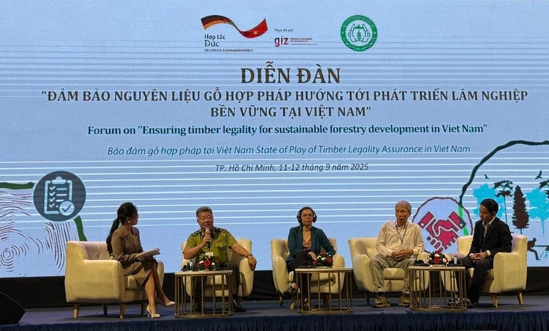 Ngành gỗ đang giữ vai trò quan trọng trong nền kinh tế