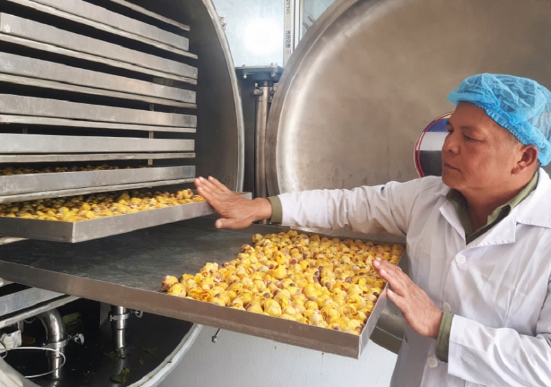 Khoa học công nghệ đưa sản phẩm OCOP Quảng Ninh vươn ra thế giới