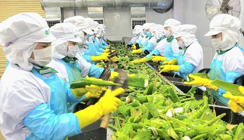 Cú “bắt tay” AIG - GCF