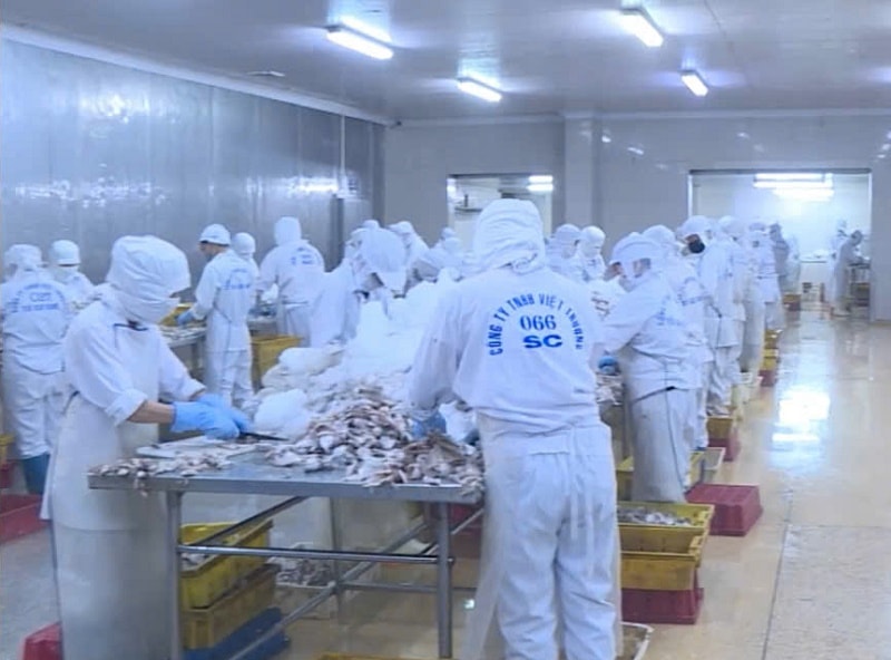 Đột phá ngành thủy sản xuất khẩu nhờ khoa học công nghệ