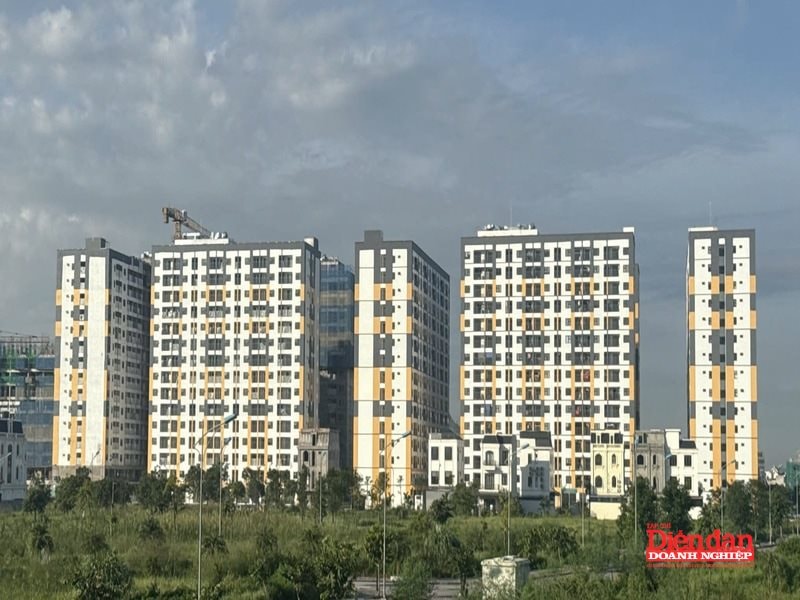 Hải Phòng vượt kế hoạch hơn 700 căn nhà ở xã hội