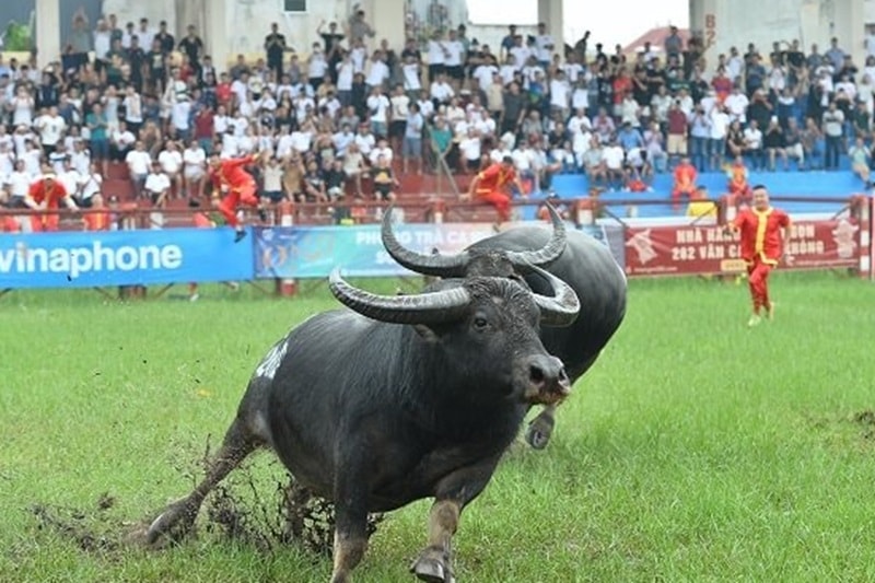 Kết nối di sản và du lịch