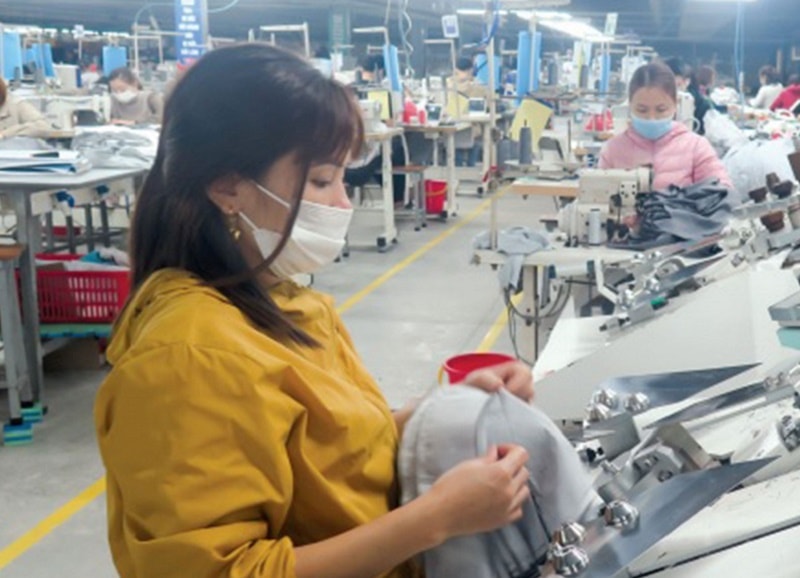 Tổ chức Đảng trong doanh nghiệp tư nhân: Điểm tựa phát triển bền vững