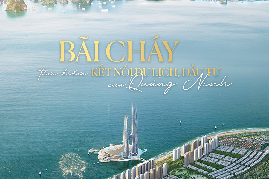 Bãi Cháy: Tâm điểm kết nối du lịch, đầu tư của Quảng Ninh