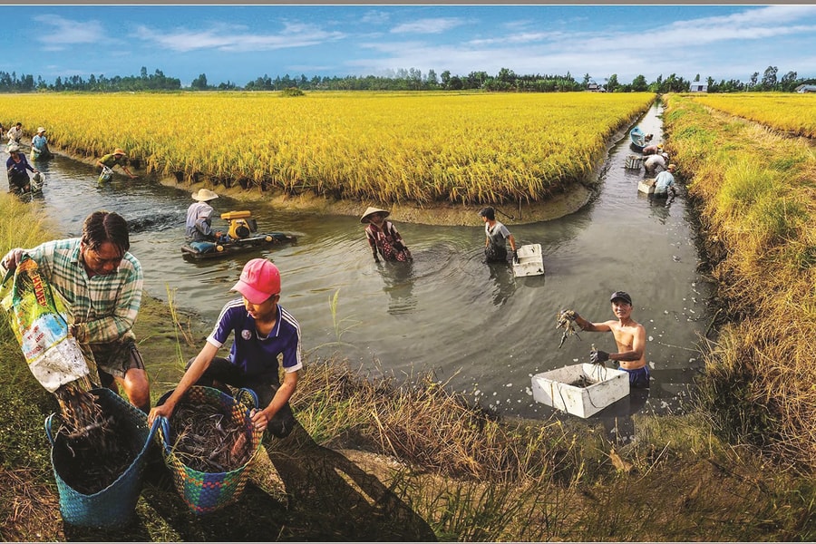 Nông nghiệp tuần hoàn đích đến Netzero