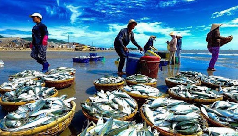 Việt Nam đề nghị Mỹ xem xét lại quyết định về 12 nghề khai thác hải sản