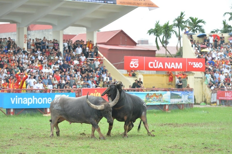 Làm “nóng” cho mùa du lịch thấp điểm