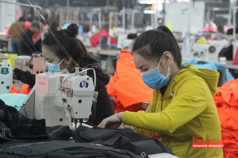 Gia Lai bàn giải pháp để có 65.000 doanh nghiệp vào năm 2030